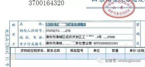 高效開票指南 模糊查詢與票據(jù)咨詢服務(wù)，助您快速完成發(fā)票開具