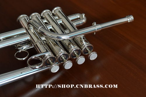美國(guó)蓋琴高音小號(hào)3916S 卓越性能與精湛工藝的完美融合